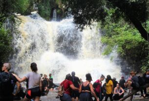 Caminhos de Peabiru levam visitantes a antigas rotas no Paraná; veja como visitar a trilha