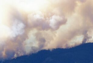 Com quase meio milhão de acres queimados, emergências de incêndio florestal são declaradas na Califórnia