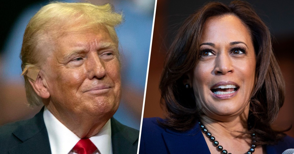 Como Kamala Harris se compara a Trump nas pesquisas?