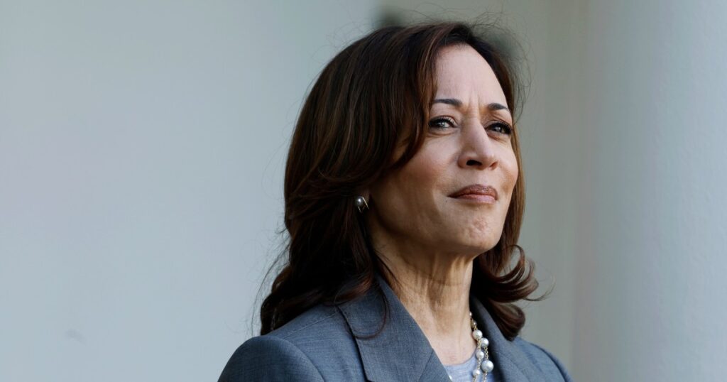 Como a campanha presidencial de Kamala Harris está tomando forma rapidamente