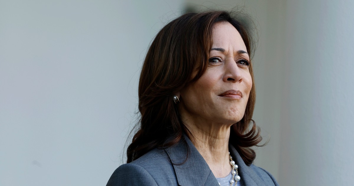 Como a campanha presidencial de Kamala Harris está tomando forma rapidamente