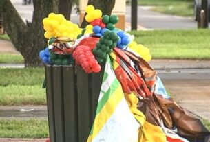 Criança de 3 anos morre em drive-by em festa de aniversário em parque de Fort Lauderdale