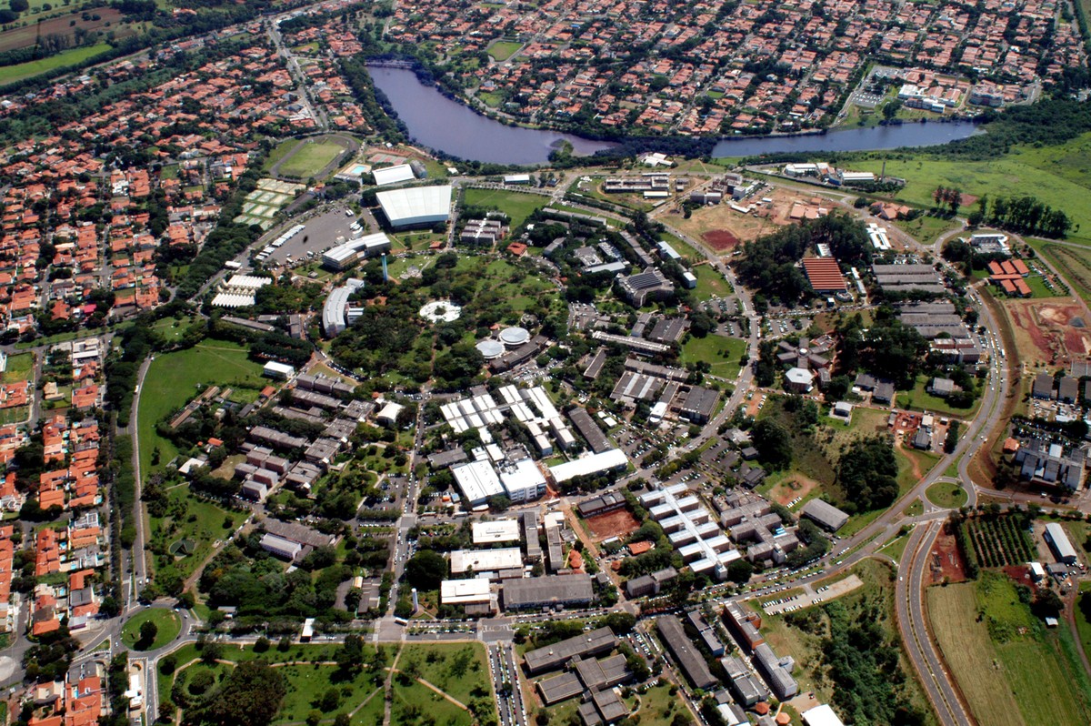 Desvio de verbas para pesquisas no Instituto de Biologia da Unicamp pode chegar a R$ 1,9 milhão | Educação