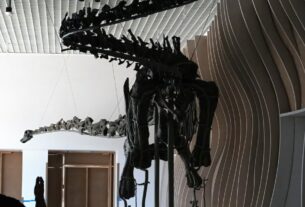 Gnatalie é o único dinossauro de ossos verdes encontrado no planeta. Ela estará em exposição em Los Angeles