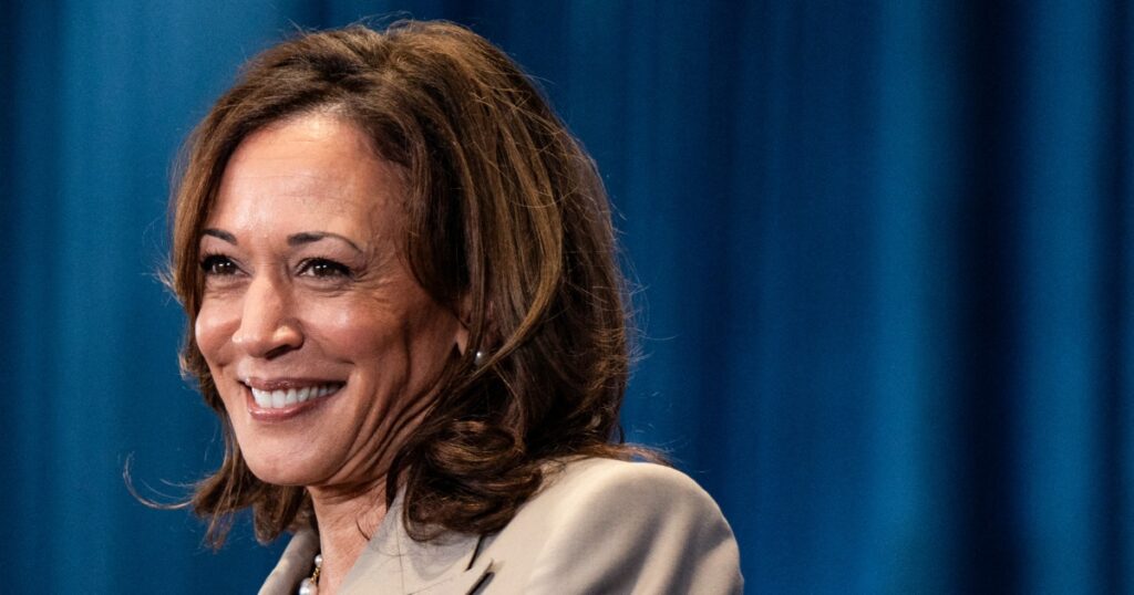 Histórico empresarial de Kamala Harris: Lutando contra bancos, apoiando sindicatos