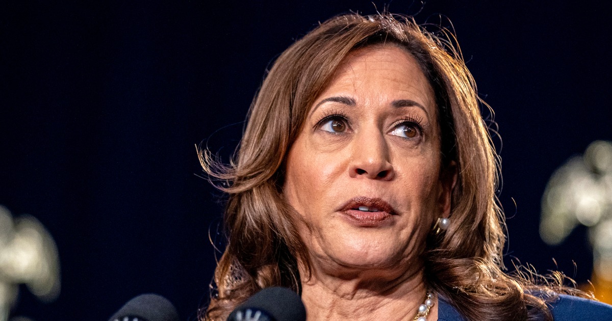 Kamala Harris, rotulada como uma "candidata DEI", faz dela a mais recente destinatária de um insulto emergente