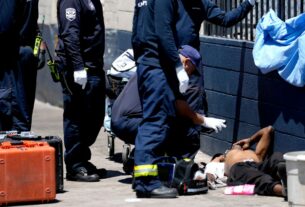 Mais de 300 mortes suspeitas relacionadas ao calor estão sob investigação na área de Phoenix