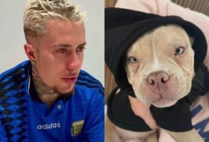 Morre cachorro de MC Daniel e funkeiro lamenta: “Dor inexplicável”