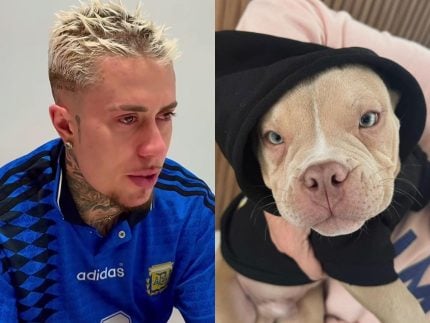 Morre cachorro de MC Daniel e funkeiro lamenta: “Dor inexplicável”