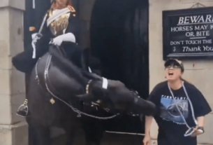 Mulher tenta tirar foto com cavalo da Guarda Real Britânica é mordida e desmaia