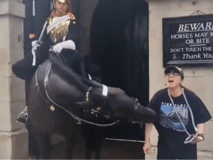 Mulher tenta tirar foto com cavalo da Guarda Real Britânica é mordida e desmaia