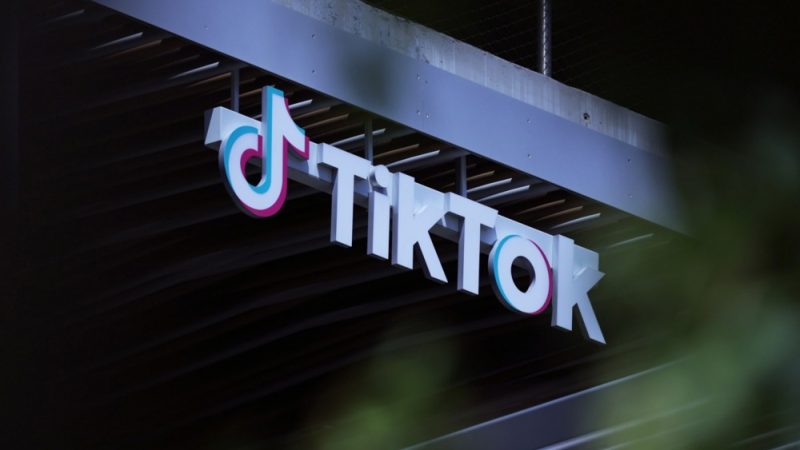 TikTok falha em 'teste de desinformação' antes da votação da UE, mostra estudo – Euractiv