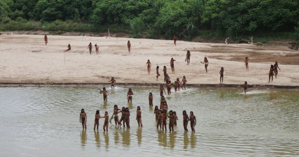 Tribo isolada da Amazônia é avistada de forma incomum perto de área de exploração madeireira