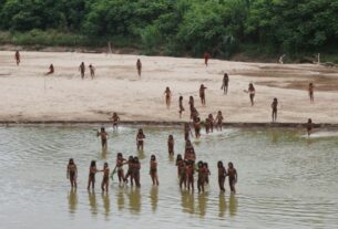 Tribo isolada da Amazônia é avistada de forma incomum perto de área de exploração madeireira