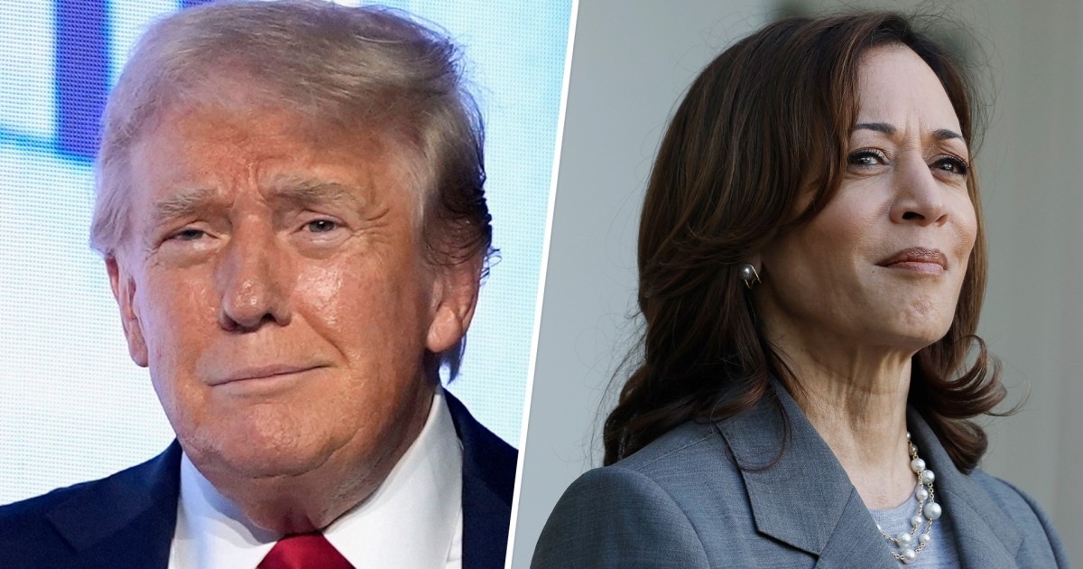 Trump parece propenso a debater com Harris à medida que as campanhas esquentam