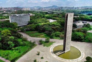 USP perde liderança na América Latina, mas continua entre as 100 melhores universidades do mundo | Educação