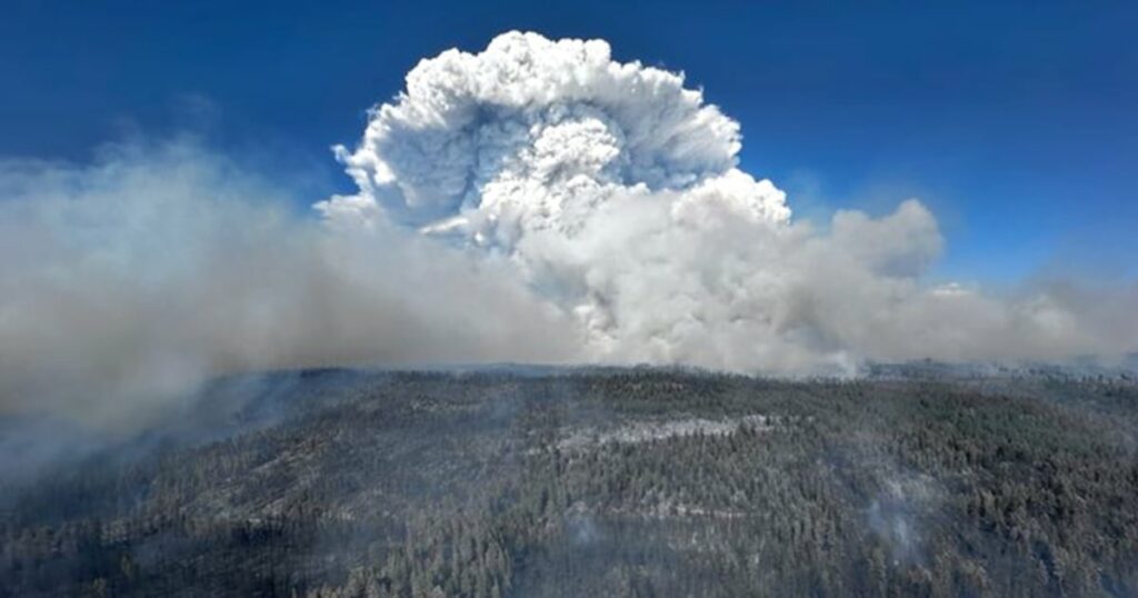 Vários incêndios, incluindo um "megaincêndio", estão crescendo no Oregon em meio a combustível seco e altas temperaturas