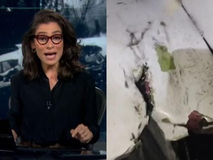 Caso Vinhedo: Jornal Nacional exibe imagens de danos sofridos por avião que caiu