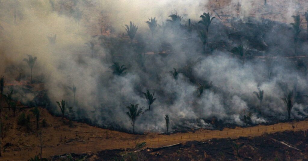 Desmatamento na Amazônia brasileira cai para o menor nível desde 2016, diz governo