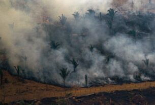 Desmatamento na Amazônia brasileira cai para o menor nível desde 2016, diz governo