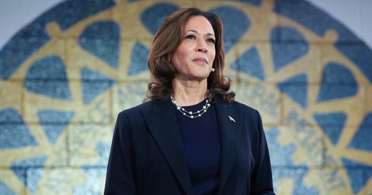 Hackers apoiam campanha presidencial de Kamala Harris