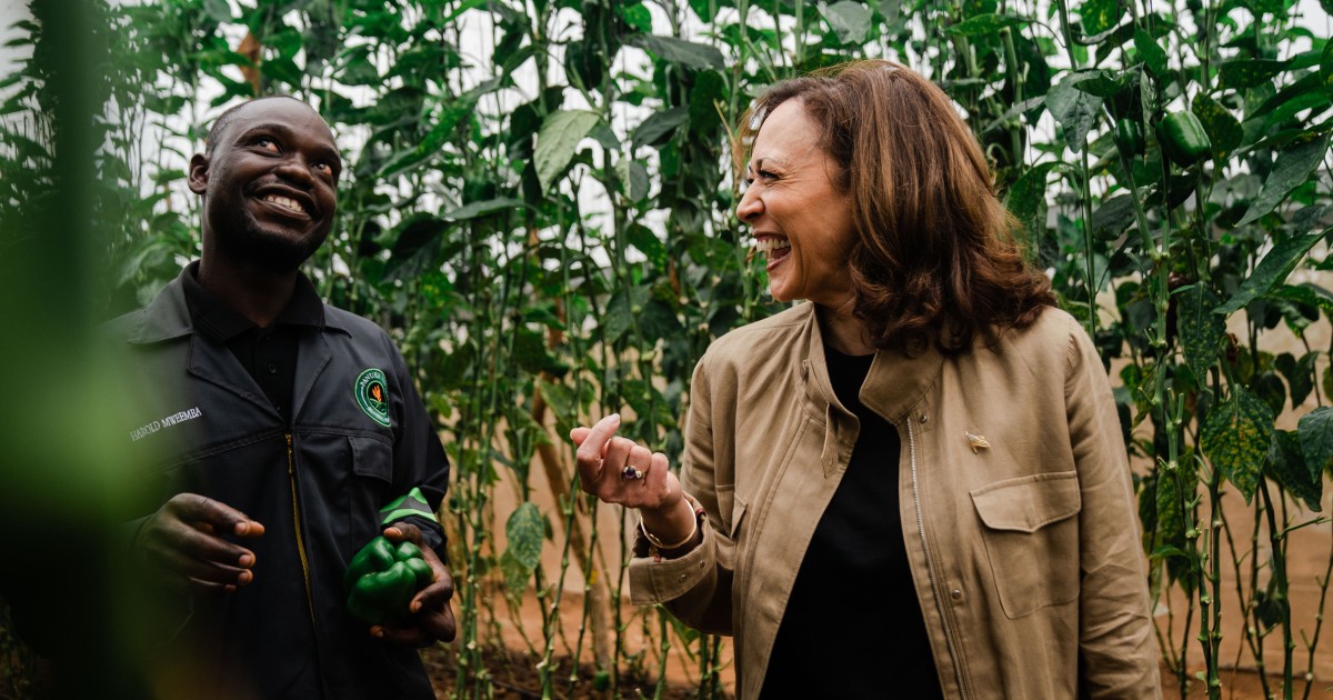 Jovens ativistas climáticos preferem Harris a Biden, apesar de suas vitórias ambientais