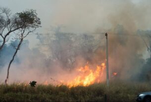 Mais duas pessoas são presas por atear fogo em vegetação no interior de SP