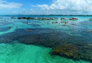 Maragogi: conheça o 'Caribe brasileiro' moldado pela tábua de marés e as fases da lua