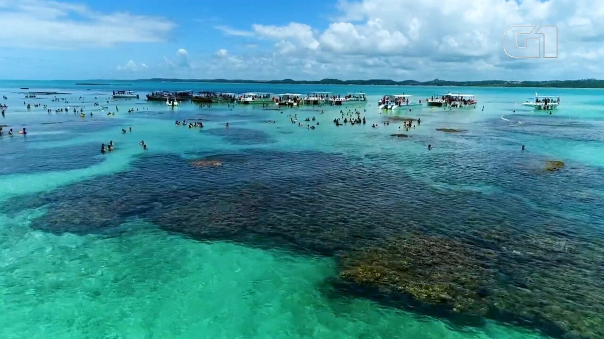 Maragogi: conheça o 'Caribe brasileiro' moldado pela tábua de marés e as fases da lua