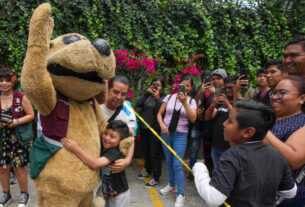 No México, um "cachorro" de luta livre também é um meme viral