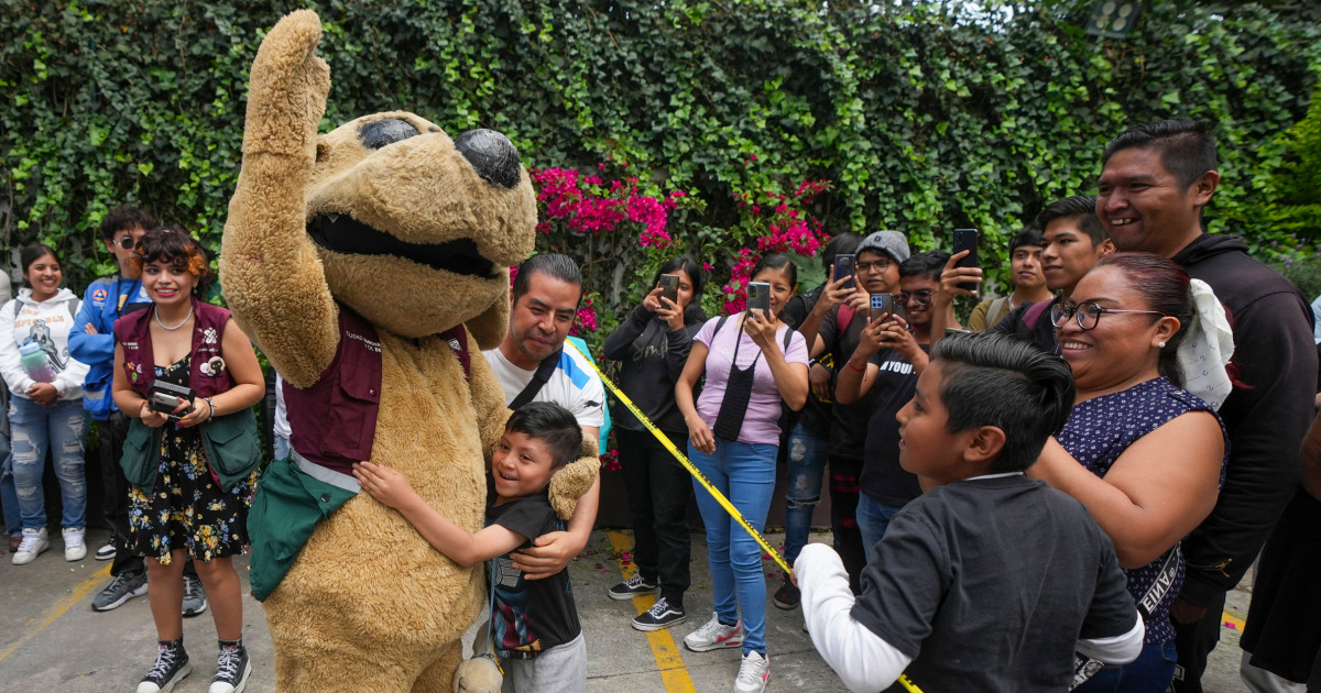 No México, um "cachorro" de luta livre também é um meme viral