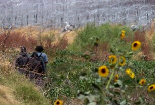 O número de migrantes em cidades fronteiriças e algumas grandes cidades dos EUA caiu drasticamente, dizem os operadores de abrigos