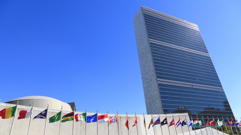 ONU aprova tratado histórico e controverso sobre crimes cibernéticos – Euractiv