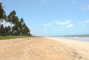 Praias do 'lado B' de Alagoas: descubra o charme de um litoral quase deserto e com águas quentes