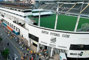 Torcida do Santos na Vila Belmiro. Foto: Reprodução