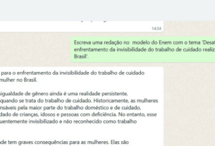 Que nota a Meta AI, inteligência artificial do Whatsapp, tiraria na redação do Enem?