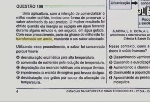 VÍDEOS ENEM 2024: correção de questões de matemática e ciências da natureza